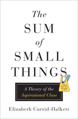 An image of the cover of the book "The Sum of Small Things: A Theory of the Aspirational Class"