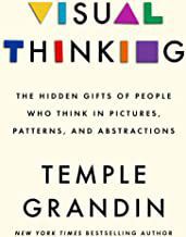 An image of the cover of the book "Visual Thinking: The Hidden Gifts of People Who Think in Pictures, Patterns, and Abstractions"